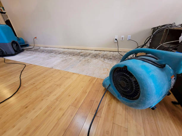 Professional Burst Pipe Water Damage technician working in East Rutherford, NJ
